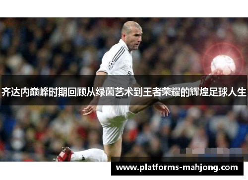 齐达内巅峰时期回顾从绿茵艺术到王者荣耀的辉煌足球人生 齐达内巅峰时期回顾从绿茵艺术到王者荣耀的辉煌足球人生