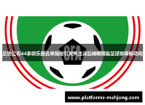 足协公布44家俱乐部名单揭秘引发关注背后暗藏哪些足球发展新动向