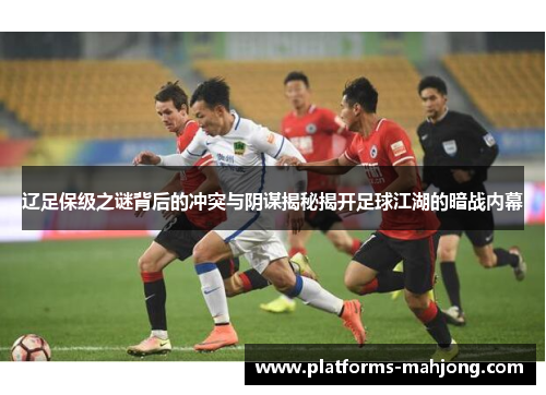 辽足保级之谜背后的冲突与阴谋揭秘揭开足球江湖的暗战内幕