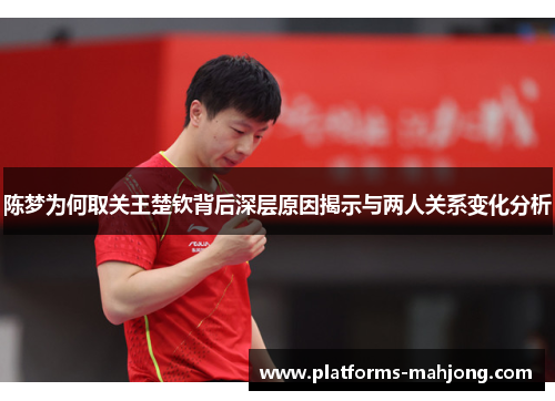 陈梦为何取关王楚钦背后深层原因揭示与两人关系变化分析